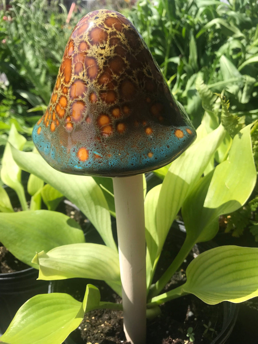 mushroom　0705 Mullally Ceramic Garden Mushrooms | Costco
