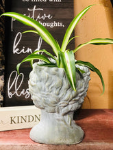 Load image into Gallery viewer, Distressed Cement Classic Greek Warrior Bust Head Planter