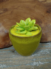 Load image into Gallery viewer, Mini Succulent Planter Pots in every color 3 inch Colors Of The Rainbow