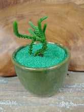 Load image into Gallery viewer, Mini Succulent Planter Pots in every color 3 inch Colors Of The Rainbow