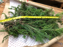 Load image into Gallery viewer, Lg. bundle Evergreen Boughs/Tips 18"-27" 2-3 pound Pack Holiday Parties, Decor, Arrangements, Wreaths, Kissing Ball, Swags