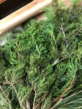Load image into Gallery viewer, Lg. bundle Evergreen Boughs/Tips 18"-27" 2-3 pound Pack Holiday Parties, Decor, Arrangements, Wreaths, Kissing Ball, Swags