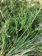 Load image into Gallery viewer, Lg. bundle Evergreen Boughs/Tips 18"-27" 2-3 pound Pack Holiday Parties, Decor, Arrangements, Wreaths, Kissing Ball, Swags