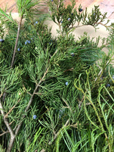 Load image into Gallery viewer, Lg. bundle Evergreen Boughs/Tips 18"-27" 2-3 pound Pack Holiday Parties, Decor, Arrangements, Wreaths, Kissing Ball, Swags