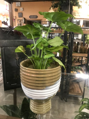 Urn shaped ceramic planter pot vase in neutral earth and cream tones with a stylish striped design. 