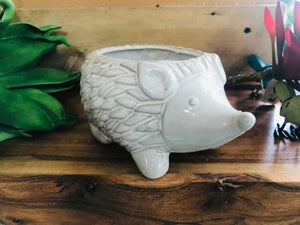 Hedgehog White Ceramic Cute Mini Succulent Planter Pot