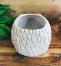 Load image into Gallery viewer, Hedgehog White Ceramic Cute Mini Succulent Planter Pot