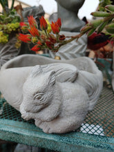 Load image into Gallery viewer, Adorable Squirrel Planter Pot Indoor Outdoor Unique Decor