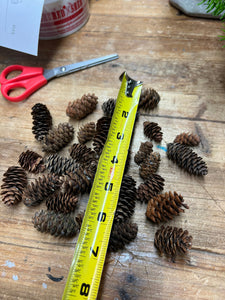 50 Natural Mini Pinecones Bulk Perfect for DIY Holiday Decor