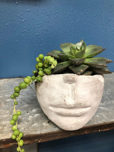 Mini 3” face head succulent planter indoor outdoor unique