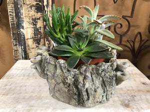 6" Small Tree Stump Planter with Mushrooms Nature Inspired