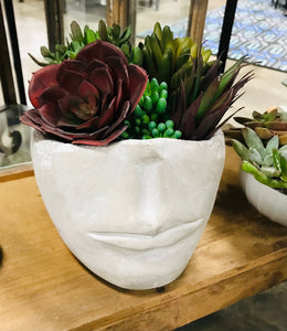 Face Succulent Cement Head Pot Planter 5" tall x 6"