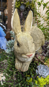 Bunny Rabbit Hare Crouching  lifelike resin indoor outdoor   Bunny Rabbit Lover's Gift