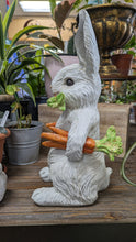 Load image into Gallery viewer, Bunny Rabbit Hare resin indoor outdoor   Bunny Rabbit Lover&#39;s Gift