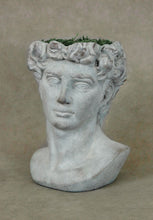Load image into Gallery viewer, Large Greek Head Planter David Face Pot Flower Vase
