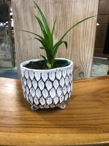 Small 4" Black and White Footed Planter Pot ideal for succulents and small houseplants