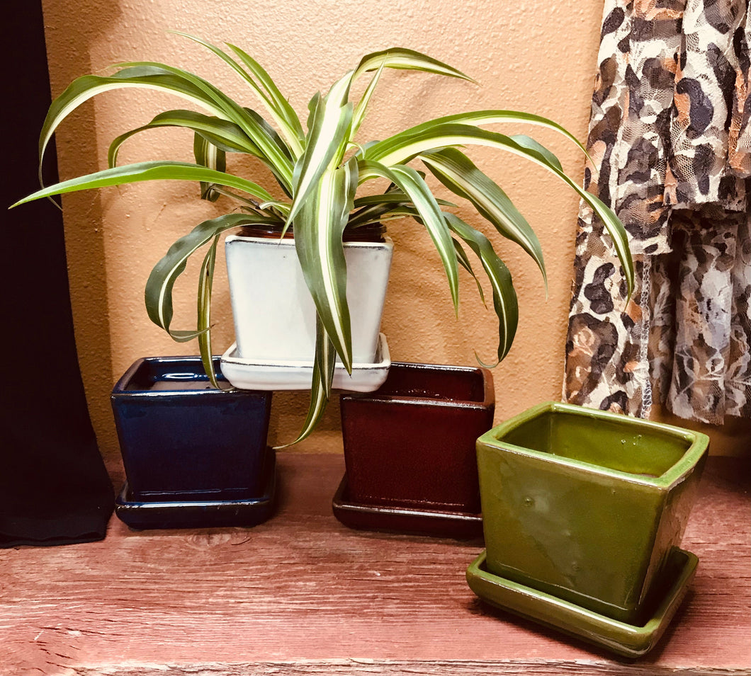 Contemporary Classic Small Square Glazed Ceramic Flower Pot
