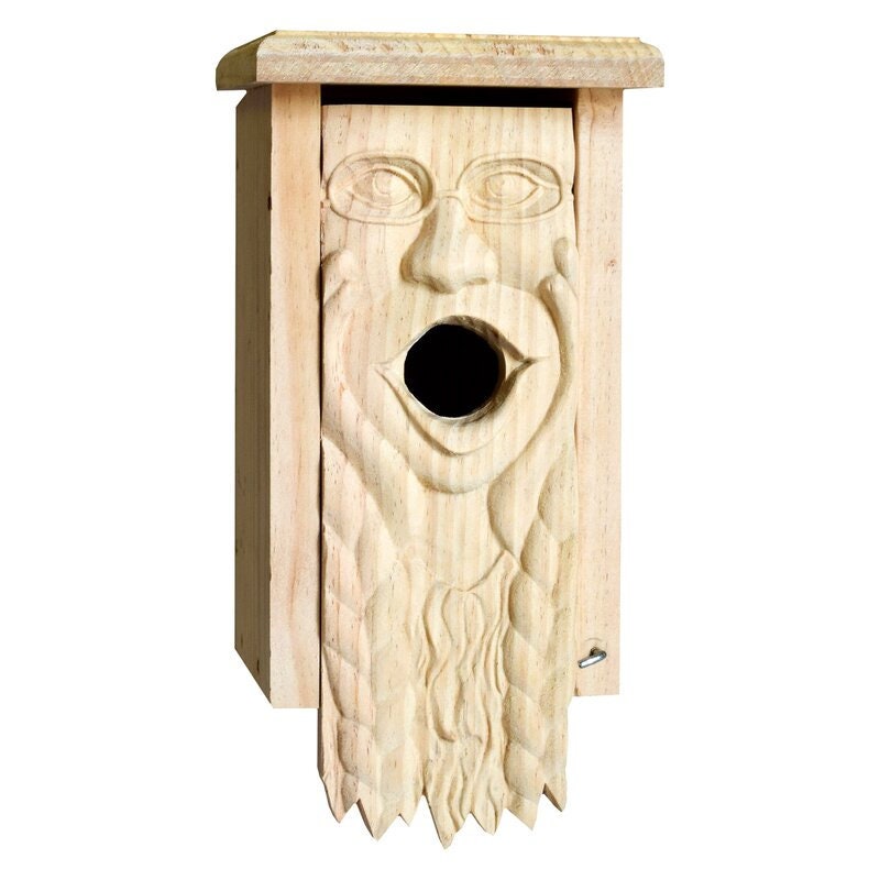 SALE! Carved Blue Bird Outdoor Mother Earth Birdhouse