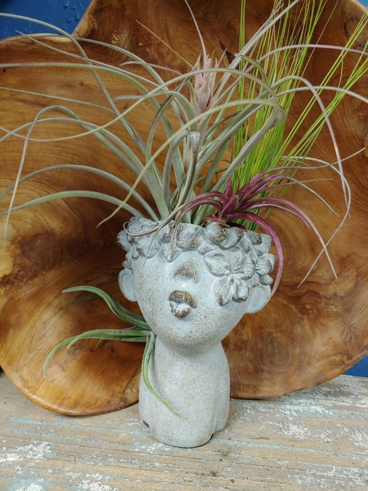 Small Girl Woman Kissing Head Planter Pot for succulents Cement