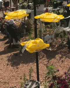 Butterfly Feeder with Nectar and Fruit Station to attract Butterflies Easy To Clean Patio and Garden feeder Butterfly Lover's Gift