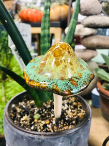 Ceramic Mushrooms for indoor or outdoor planters or garden