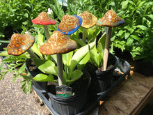 Load image into Gallery viewer, Mushroom Ceramic Garden and Plant Accents Large Ceramic 12&quot;