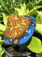 Load image into Gallery viewer, Mushroom Ceramic Garden and Plant Accents Large Ceramic 12&quot;