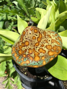 Mushroom Ceramic Garden and Plant Accents Large Ceramic 12"
