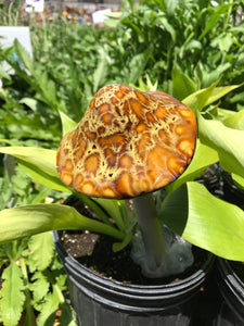 Mushroom Ceramic Garden and Plant Accents Large Ceramic 12"