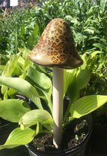 Load image into Gallery viewer, Grande XL Ceramic Mushrooms 13&quot; Indoor Outdoor Unique Garden Decor