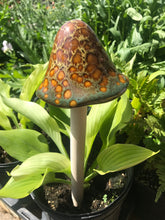 Load image into Gallery viewer, Grande XL Ceramic Mushrooms 13&quot; Indoor Outdoor Unique Garden Decor