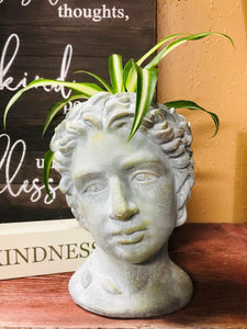 Greek boy man head planter pot 9" tall concrete unique