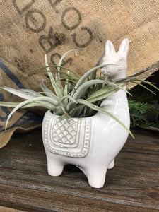 Llama Planter Small Animal Ceramic planter pot for succulents
