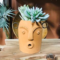 Unique Face Head Planter Pot | Head Planter | Tall 7.5" | Utensil Holder | Vase | Succulent Herb Houseplant Flower Planter Pot