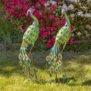 41" Tall Blue & Green Colorful Metal Peacocks with Acrylic Accents Set of Two