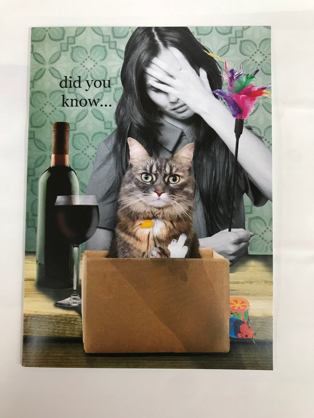 ' did you know... cats have 32 muscles in each ear to ignore.. '   Greeting Card by Erin Smith