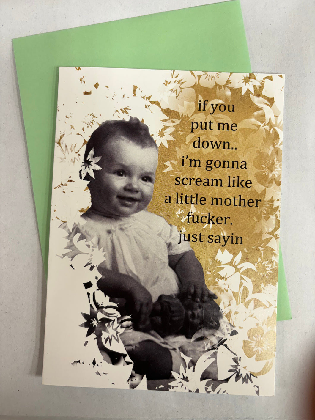 ' if you put me down...  '   Greeting Card by Erin Smith