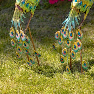 41" Tall Blue & Green Colorful Metal Peacocks with Acrylic Accents Set of Two
