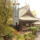 Load image into Gallery viewer, Magical Mystery Chimes Butterfly&#39;s Farewell