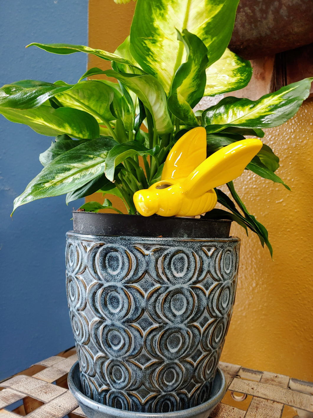 Cute as a Bug Self Watering Plant Pet | Just add Water