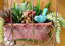 Load image into Gallery viewer, Cute as a Bug Self Watering Plant Pet | Just add Water