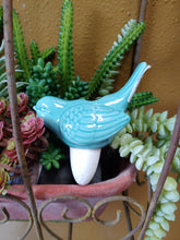 Load image into Gallery viewer, Cute as a Bug Self Watering Plant Pet | Just add Water