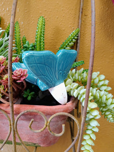 Cute as a Bug Self Watering Plant Pet | Just add Water