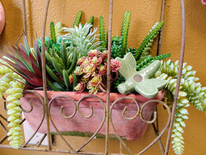 Cute as a Bug Self Watering Plant Pet | Just add Water
