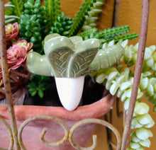 Load image into Gallery viewer, Cute as a Bug Self Watering Plant Pet | Just add Water
