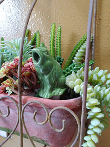 Cute as a Bug Self Watering Plant Pet | Just add Water