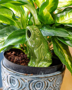 Cute as a Bug Self Watering Plant Pet | Just add Water