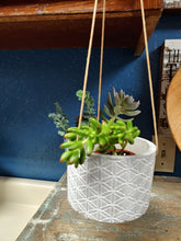 Load image into Gallery viewer, GREY, HANGING, CEMENT, 3.5” PLANTER WITH SUCCULENTS, WITH A GEOMETRIC FLORAL DESIGN EXTERIOR, AND A STRONG, 3-POINT ROPE HANGER. DRAINAGE HOLE. SUCCULENTS SOLD SEPARATELY.