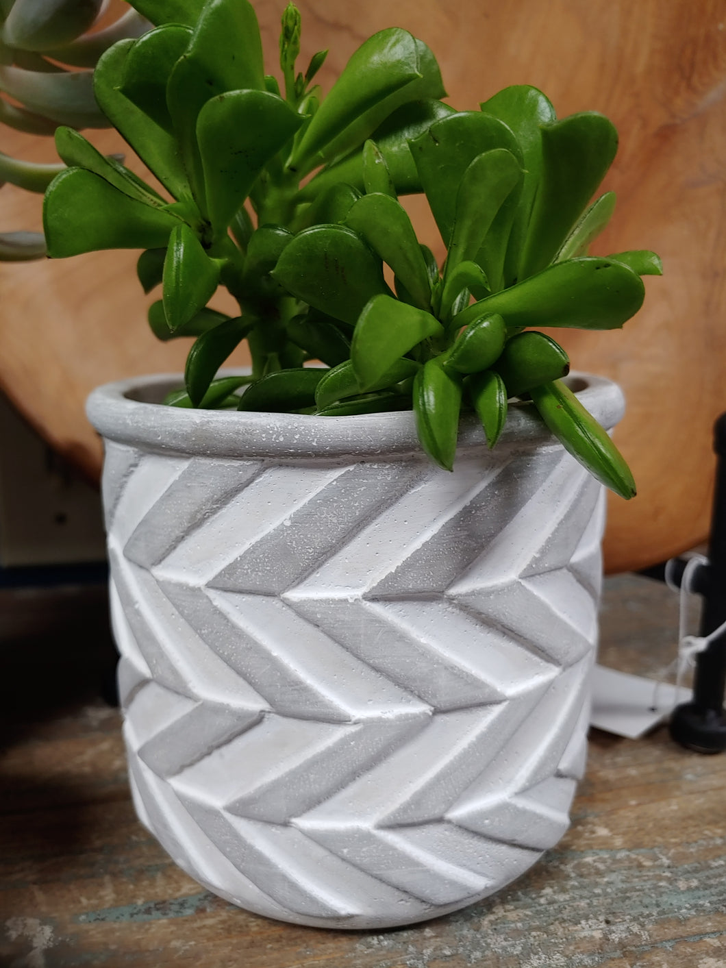 DARK AND LIGHT GREY, HEAVY-DUTY CEMENT PLANTER WITH SUCCULENTS, WITH A CHEVRON DESIGN EXTERIOR. 5