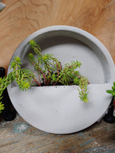 Load image into Gallery viewer, BEAUTIFUL, HEAVY-DUTY, ROUND, TEXTURED, GREY CERAMIC PLANTER. 7” BY 7” BY 2”. NO DRAINAGE HOLE. PLANTS SOLD SEPARATELY.